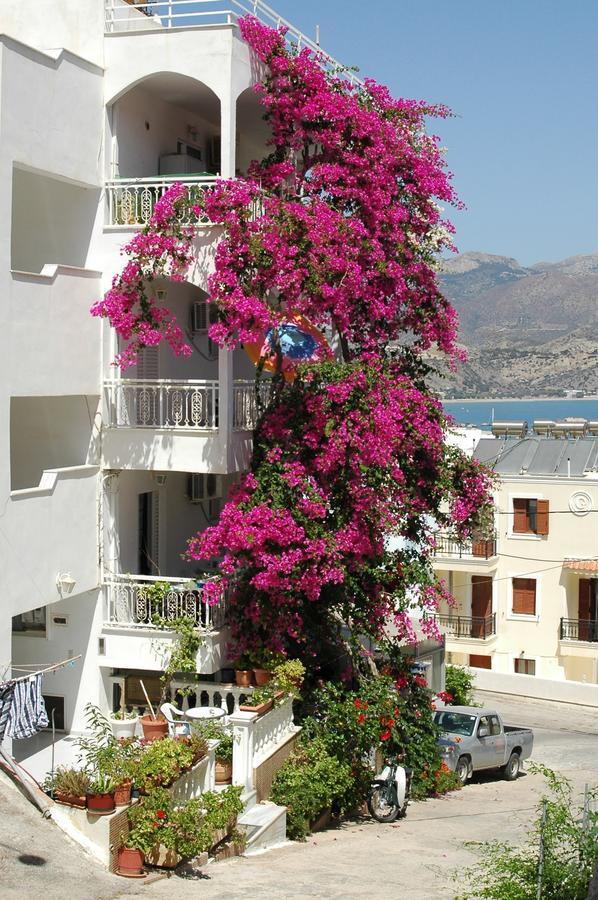 Roses Studios Karpathos Town  Exterior photo